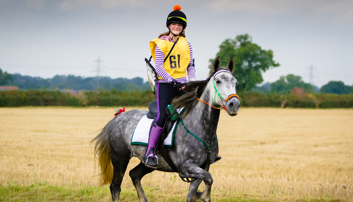 Equestrian jobs in north yorkshire