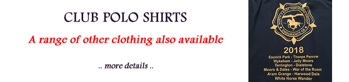 Polo Shirts 2018